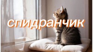 спидран по чикен ган