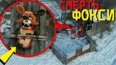 мой Дрон снял Фокси