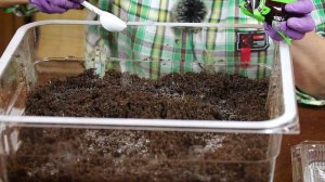 Как даже самый пустой грунт сделать питательным. Просто и быстро.