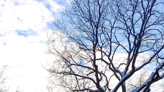 Зима Зима смотреть онлайн