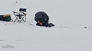 VID_20260225_121348_590