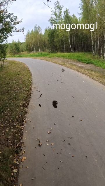 Парк Южное Бутово