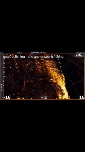 Active Target 2XL scout