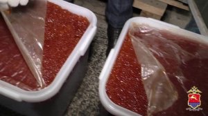 В Магадане осудят бизнесменов за незаконной оборот тонны немаркированной красной икры