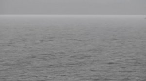 Времена года 2013