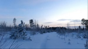 Проверка капканов