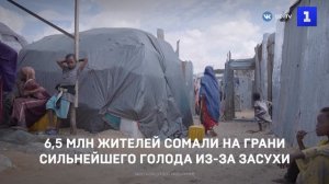 6,5 млн жителей Сомали на грани сильнейшего голода из-за засухи