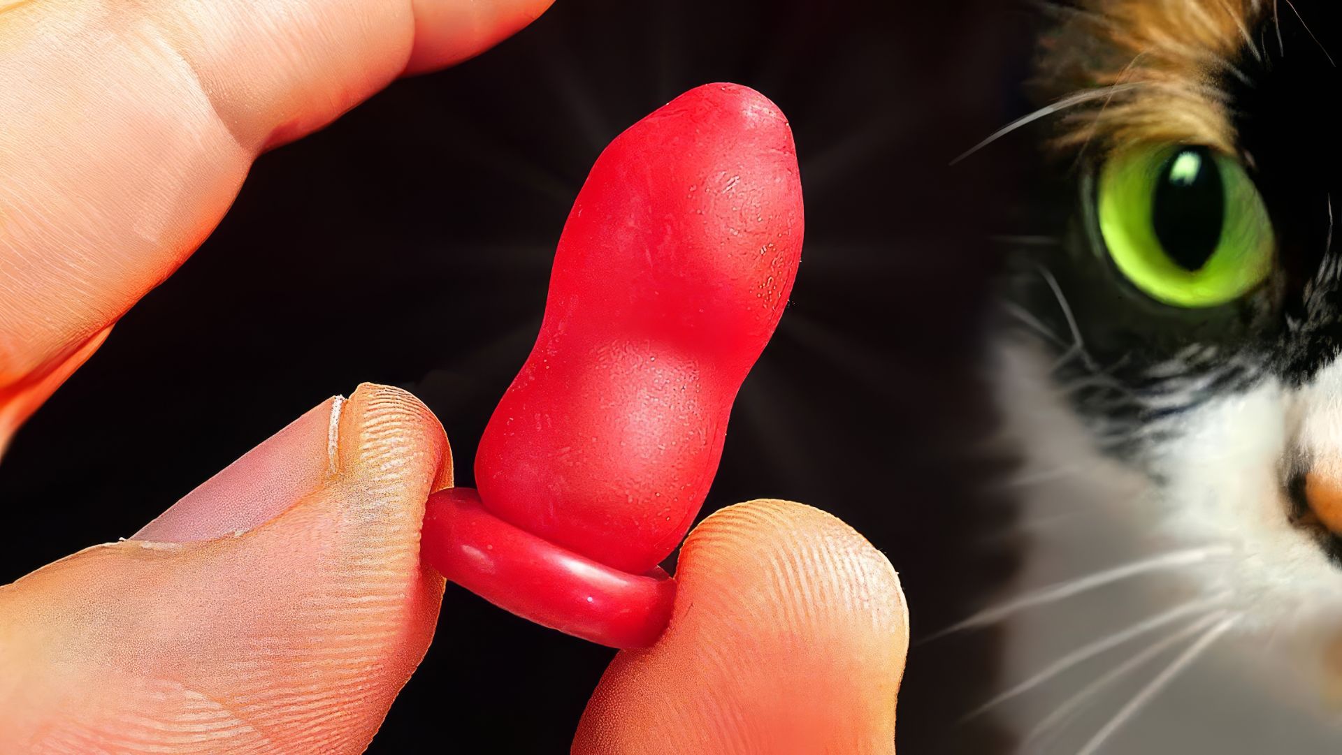 ВОТ ЧТО МЫ КУПИЛИ НА ALIEXPRESS смотреть онлайн