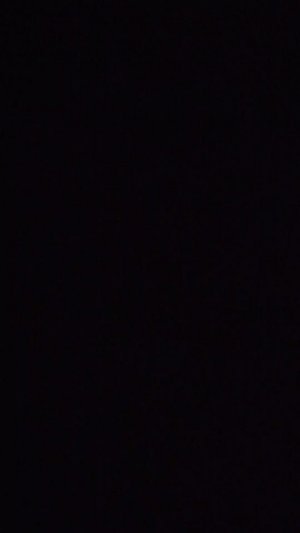 укради брейнрот