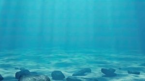 Решила поплавать﹤3