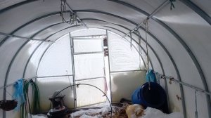 Открывать или нет форточки в теплице зимой