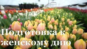В Станично-Луганском районе к 8 Марта вырастили около 100 тысяч растений в теплицах