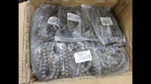 Видео от Горячие Новости