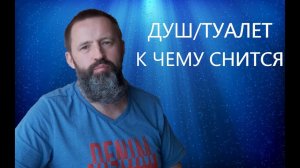 ДУШ_ТУАЛЕТ. К чему снится душ_туалет