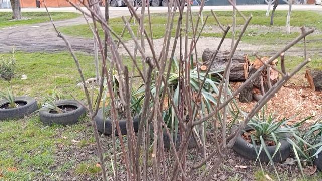 Мы гуляем смотреть онлайн