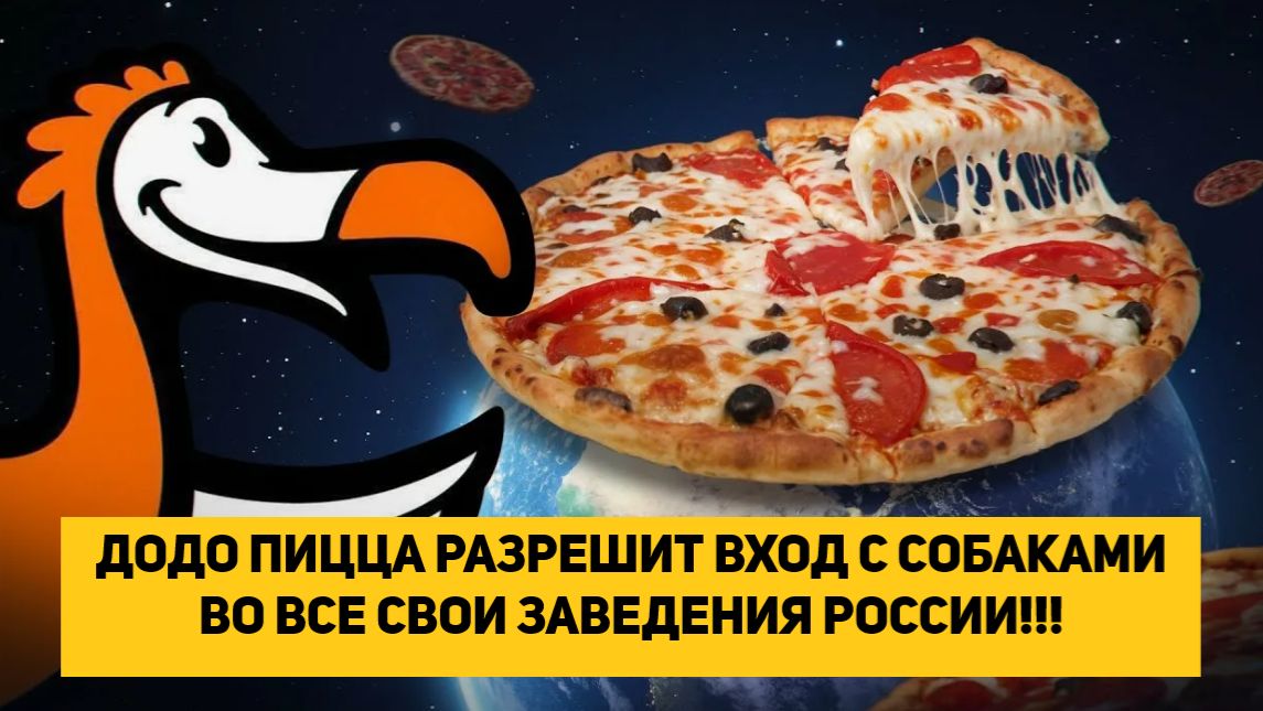 ДОДО ПИЦЦА РАЗРЕШИТ ВХОД С СОБАКАМИ ВО ВСЕ СВОИ ЗАВЕДЕНИЯ РОССИИ!!! смотреть онлайн