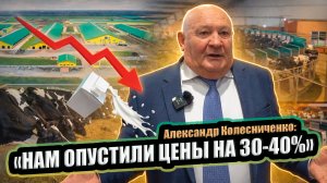 Александр Колесниченко: «Нам опустили цены на молоко на 30-40%»