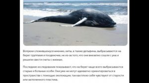 В мире животных.