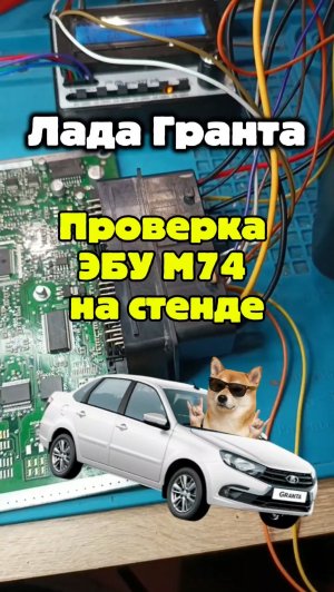 Проверка на стенде ЭБУ М74 Лада Гранта. Ремонт ЭБУ М74 Лада Гранта.
