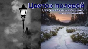 Цветок полевой