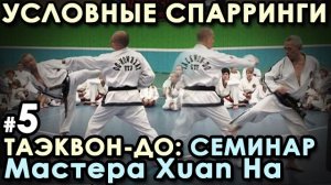 Таэквон-до GTF – 5: техника спаррингов.