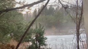 Наша плантация в середине зимы Часть 2