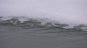 В Воронежской области готовятся к весеннему паводку