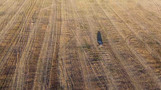 Летняя прогулка по полям.