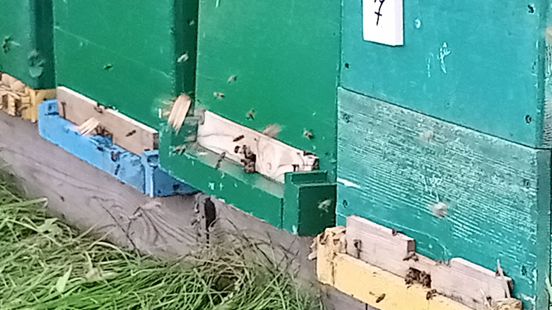 сахарная пудра на зернодробилке для канди смотреть онлайн