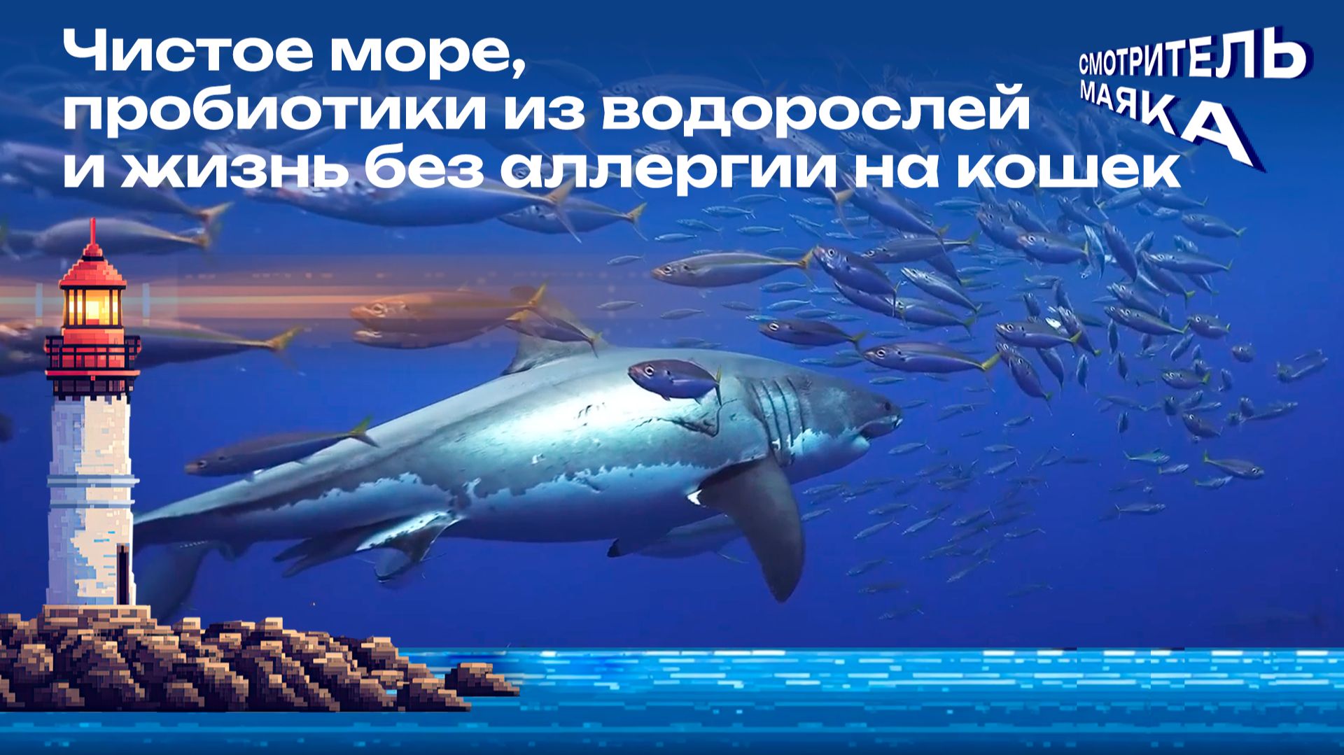 Чистое море, пробиотики из водорослей и жизнь без аллергии | Смотритель маяка с Романом Маякиным