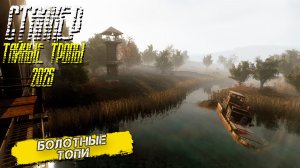 БОЛОТНЫЕ ТОПИ ➤ Сталкер Тайные Тропы (2025) #9