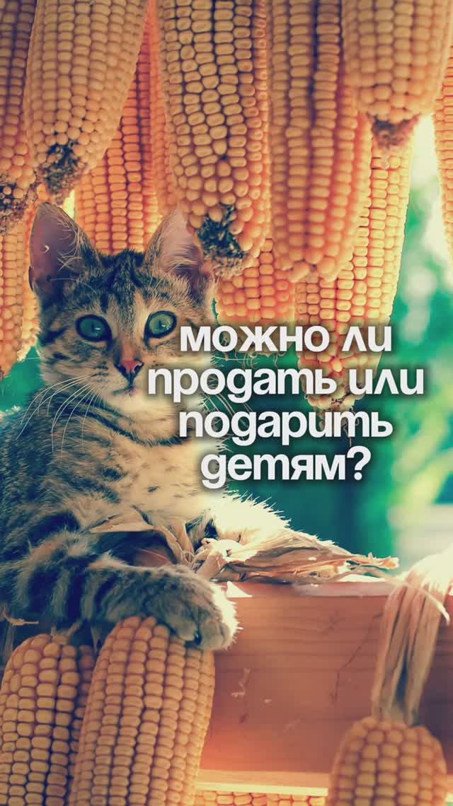 Можно ли подарить земельный участок? | Крымский Гектар
