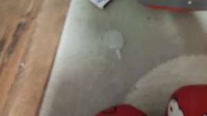 Собачки Лаки Догги