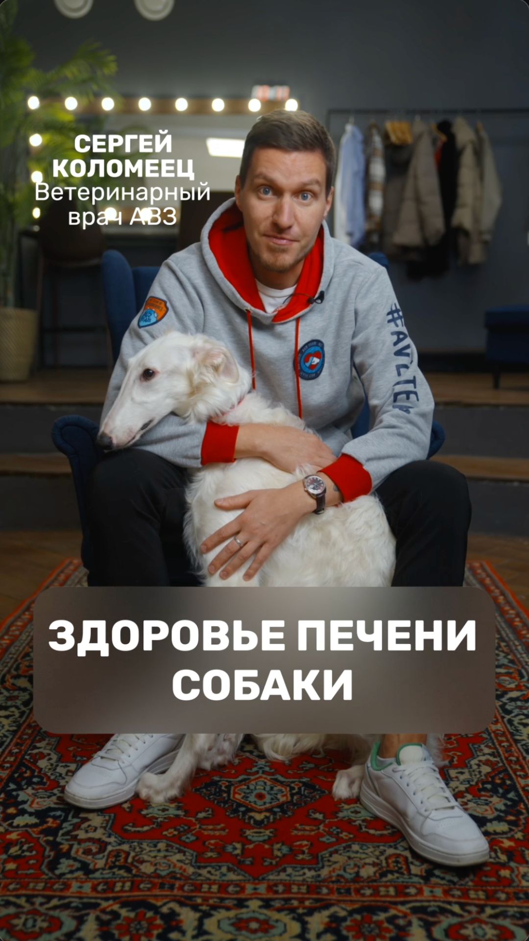 Здоровье печени собаки