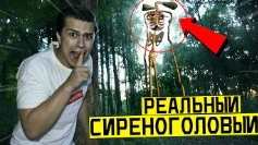 опасно никогда не входи в лес серенаговому в 3:00 ночи