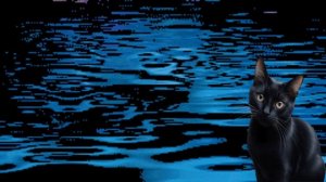 На берегу реки. Всплески воды у берега реки