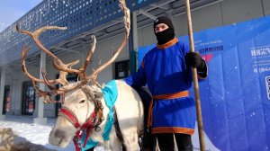 Горячие угощения и настоящие северные олени. Что подготовили для участников лыжных гонок в Самаре