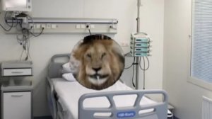 (приколы над Дзюбой и Мастером русланом)Инцидент 167 "LEV"