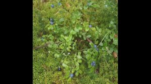 Архив 2023 г. Поездка на Родину.