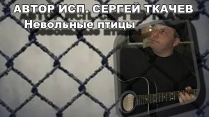 АВТОР ИСП. СЕРГЕЙ ТКАЧЕВ - Невольные птицы
