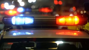 Около 200 человек ищут пропавшую школьницу в Смоленской области