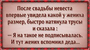 После свадьбы невеста впервые увидела какой у жениха размер, быстро натянула трусы и сказала...