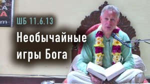 23.02.2026 - Необычайные игры Бога - Е.М. Враджендра Кумар прабху