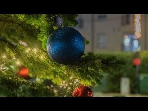 Renaissance of Words 3 смотреть онлайн