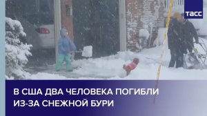 В США два человека погибли из-за снежной бури