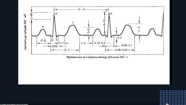 Физиология.Кровообращение