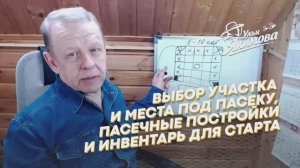 Выбор участка и места под пасеку. Прямая трансляция от 22 февраля 2026 года.