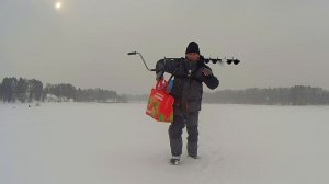 ПЛОТВА КЛЮЁТ на ВСЁ. Рыбалка на ГВОЗДИК, ВЕДЬМУ, ЧЁРТИК, НИМФОШАРИК и даже на ДУРОЧКУ.