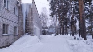 Символ зимы!