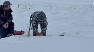 Поимки форели !!!